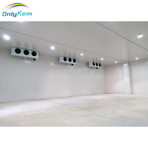 Top Bán Lưu Trữ Lạnh Hệ Thống Làm Mát CE Và <span class=keywords><strong>ISO</strong></span> <span class=keywords><strong>9001</strong></span> Chứng Nhận Bitzer Chất Lượng Cao Phòng Mát Mẻ Cho Trái Cây Rau - Product Image 2