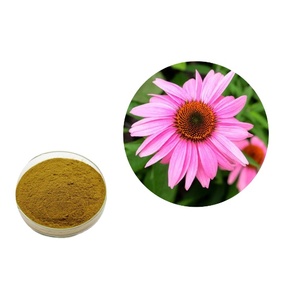 Giá tốt nhất Hữu Cơ <span class=keywords><strong>Echinacea</strong></span> Purpurea chiết xuất để bán Cung cấp chất lượng cao hữu cơ <span class=keywords><strong>Echinacea</strong></span> Purpurea chiết xuất mẫu miễn phí - Product Image 2