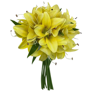 Ramo de Lirios de 12 Tallos Más Vendido, Ramo de Novia - Regalo Romántico para Cumpleaños, Día de San Valentín - Product Image 1