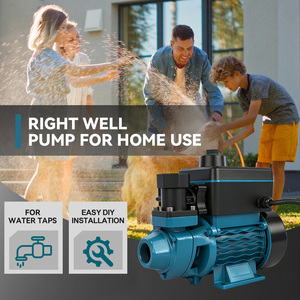 Pompe de surpression Full House 220V/50Hz/60Hz, pompe à eau d'irrigation automatique avec protections multiples et pressostats intégrés - Product Image 5