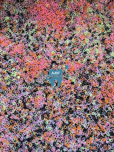 [Aifan Nha Khoa] Dây Thun Chỉnh Nha Giá Tốt Nhất 5000 Chiếc Dây Cao Su Chỉnh Nha Màu 3.5OZ - Product Image 2