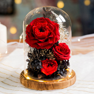 TC all'ingrosso casa conservato Rose di lunga durata In vetro cupola infinito eterno <span class=keywords><strong>fiori</strong></span> di rosa regalo <span class=keywords><strong>per</strong></span> compleanni proposte di <span class=keywords><strong>auguri</strong></span> - Product Image 2