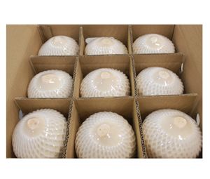 เนื้อมะพร้าวสยามคุณภาพพรีเมียม ตัดแบบเพชร พร้อมปลอกโฟม ฉลากหดรัดความร้อนแบบใส ฝาพลาสติก หลอดพลาสติก น้ำดื่มสดใหม่ กึ่งปอกเปลือก - Product Image 1