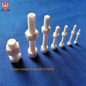 wholesale M2 M2.5 M3 M3.5 M4 M5 M6 M8 M10 M12 M14 M16 M18 Al2O3 Ceramic Screw nut
