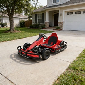 Kart électrique tout-terrain 24V <span class=keywords><strong>800W</strong></span> à transmission par chaîne, vitesse de course 15-25 km/h, pour enfants et adultes, capacité de charge 200 kg - Product Image 1