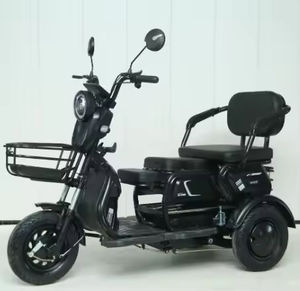 El Mejor Triciclo Eléctrico de 3 Ruedas de 60V 1000W, Scooter para 4 Pasajeros, Carrocería Abierta/Cerrada, Frenos de Disco Delanteros y Traseros, Adultos, Personas Mayores, 30-50Km/h - Product Image 1