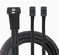 Câble de serveur haute vitesse Pcie Gen5 MCIO 8i vers 2x SFF-8643 Mini SAS