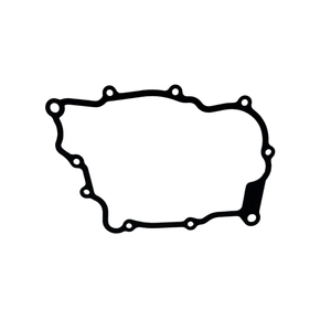 Kit de révision complet pour moteur QCD-BYQ300, comprenant <span class=keywords><strong>les</strong></span> joints de carrosserie, pour Zongshen Biya Qiao X7 Apulia SR250 GTS300 Longjia Victoria 300 - Product Image 4