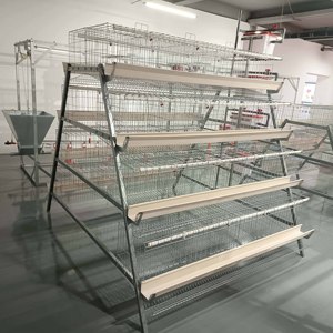 鶏ケージ自動卵家禽農業装置システム - Product Image 3