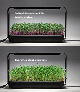 Microgreen-kit <span class=keywords><strong>de</strong></span> cultivo <span class=keywords><strong>de</strong></span> hierbas <span class=keywords><strong>medicinales</strong></span>, led automatizado, <span class=keywords><strong>semillas</strong></span> <span class=keywords><strong>de</strong></span> cultivo - Product Image 2