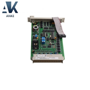 โมดูลอินพุตดิจิตอลฮันนี่เวลล์ รุ่น 10102/2/1 - Product Image 1
