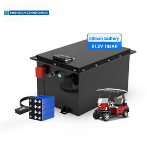 Custom LiFePO4 <b>Battery</b> Pack <b>48V</b> 51.2V 50Ah 100Ah 200Ah Lithium <b>Battery</b> for Forklift Pallet Truck - Product Image 2