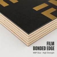 Panneau de coffrage en contreplaqué d'eucalyptus noir filmé réutilisable 4x8, dimensions personnalisées, étanche, classe E1, première qualité pour la construction