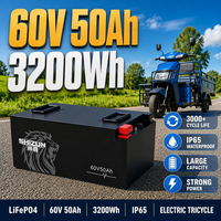 Batterie LiFePO4 60V 50Ah pour Tricycle Électrique et Vélo Électrique, 3000 Cycles, IP65, BMS, Boîtier ABS, Cellule Cylindrique, Direct Usine