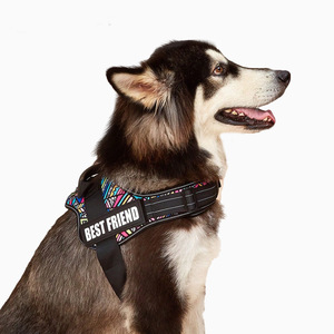 Harnais pour chien PawPawify robuste <span class=keywords><strong>et</strong></span> respirant, anti-traction, avec fermeture à boucle, empêche les secousses, les arrêts brusques <span class=keywords><strong>et</strong></span> le suffocation, pour l'entraînement <span class=keywords><strong>et</strong></span> la promenade, personnalisable - Product Image 3