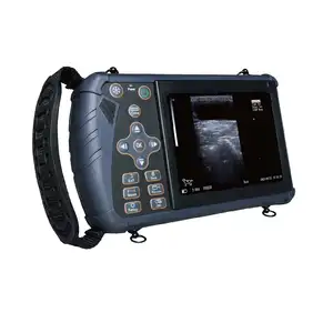 Sistema de ultrasonido para uso veterinario, dispositivo Digital de mano con pantalla LED mdeidcal de 5,6 pulgadas, B/W