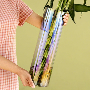 Jarrón Grande Transparente <span class=keywords><strong>de</strong></span> Bambú Monstera Columna <span class=keywords><strong>de</strong></span> 50cm <span class=keywords><strong>de</strong></span> Altura para Arreglos Florales Colgantes Coloridos, Estilo Lujo Ligero para Negocios - Product Image 2