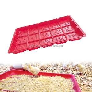 Système d'alimentation pour poulets de ferme avicole QA, ligne d'alimentation pour poules pondeuses et poulets de chair, plaque d'alimentation, bac d'alimentation pour poulets - Product Image 1