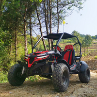 Vente flash 2024, karts à essence de haute qualité et bon marché, karts tout-terrain, buggy de 200 cm3 pour adultes