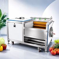 Commerciële continue borstelwasmachine voor de verwerking van groenten, fruit en wortelgewassen