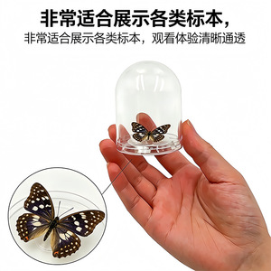 Transparent <b>Plastic</b> Dome <b>Display</b> <b>Cases</b> For Sushi Food Storage And Desktop Decoration With Lid Cover 4 Pcs Set - Product Image 5