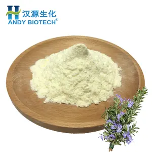 Rosemary Powder Herb Plant 30% Rosemary Ursolic Acid Extract Rosemary Powder With Bulk Price