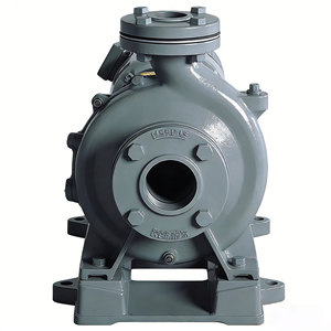 Bomba centrífuga con conexión de brida de 1 pulgada, motor eléctrico trifásico de 1.5-15kW para transporte de líquidos químicos y aguas residuales - Product Image 2
