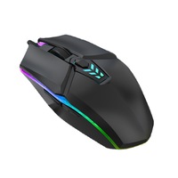 Souris de jeu filaire professionnelle pour e-sport, USB Plug and Play, ergonomique, surface mate antidérapante, rétroéclairage RGB, souris pour joueurs