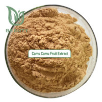 Poudre d'extrait de fruit de camu camu camu bio lyophilisé, superaliment riche en vitamine C pour le soutien immunitaire, sac de santé de la peau, fournisseur en gros