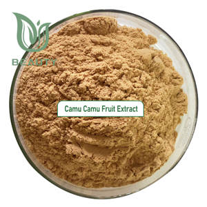 Органический сублимированный экстракт Каму, порошок с высоким содержанием витамина С, суперпродукт для иммунной поддержки, мешок для здоровья кожи, оптом поставщик - Product Image 2