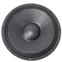 Altavoz PA Profesional de 10 Pulgadas, 250W RMS, Bobina de Voz de 65mm, Imán de 170mm, Woofer de Alta Sensibilidad para KTV, Escenarios, Clubes, Audio, Venta al Por Mayor