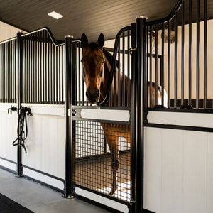 Centre équestre sur mesure haut <span class=keywords><strong>de</strong></span> gamme, hangar équestre galvanisé et thermolaqué <span class=keywords><strong>de</strong></span> 4 m, durable en WPC, box pour chevaux, écurie - Product Image 6