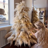 Vente directe d'usine fleurs séchées naturelles grand panache Beige herbe de pampa pour la décoration de noël herbe de pampa