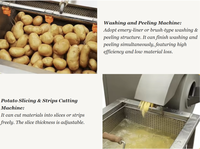 Semi-automatische machine voor de verwerking van verse diepvriesfrieten, 200 kg/uur, 304SS aardappelchipsapparatuur voor snackbedrijven