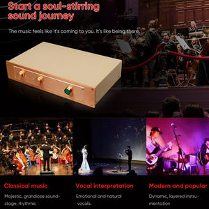 BRZHIFI China Fabricante Clone <span class=keywords><strong>FM</strong></span> Acoustics FM300A 150W * 2 Profesional Golden Hifi Amplificador - Product Image 5