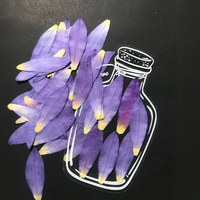 Petali di Ninfea Pressati Naturali Viola con Resina Epossidica per Gioielli Fai da Te, Petali di Ninfea Essiccati per Decorazioni di Gioielli