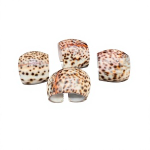 Anillos para Servilletas con Diseño de Conchas Marinas Marrones con Puntos, Anillos para Servilletas con Perlas y Conchas, Decoración Ecológica para Mesa, Porta Servilletas para Navidad - Product Image 1