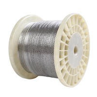 Câble métallique d'avion en acier inoxydable 2.0mm 3mm 1x7 Ss304 Type 304