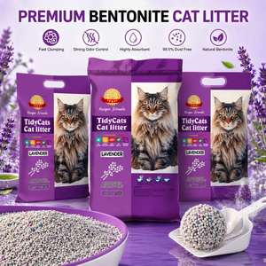 Arena para Gatos de Bentonita OEM Personalizada, Fácil de Limpiar, Aglomerante, Natural, Sin Polvo, Tendencia 2026, Suministro al por Mayor - Product Image 1