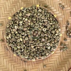 Granos de Café Robusta de Vietnam de Alta Calidad, Tamaño 16 AA+, Exportación a Granel, Bolsas de PP de 60 kg, Suministro de Fábrica para Café Espresso - Product Image 5