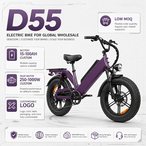 Vélo électrique personnalisé D55, 20 pouces, moteur arrière 1000W, batterie lithium 48V, cadre en aluminium pliable, 7 vitesses, frein à disque - Product Image 1