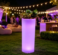 Pot de fleurs cylindrique vertical lumineux IP65 avec seau éclairé par LED pour hôtels, restaurants, fêtes, jardins