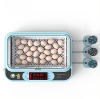 Double alimentation entièrement automatique Incubateur de 36 œufs Petit incubateur d'œufs bon marché Incubateur d'œufs de poule