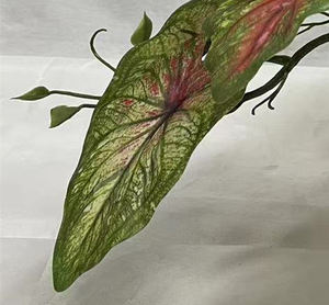 Simulation Maison Décoration Plante Rouge Gradient Feuille <span class=keywords><strong>Arum</strong></span> Famille Vert Plante Pot-149 - Product Image 2