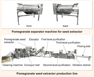Máy tách hạt lựu, máy bóc vỏ lựu, máy tách vỏ lựu bán buôn - Product Image 4