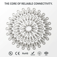 Connecteur à sertir Rnb à haute conductivité C11000, borne de câblage circulaire nue pour contrôle d'automatisation, finition mate étamée, 380V/600V, conforme RoHS