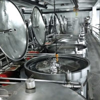 Machine pour fabrication de sauce tomate, économique et efficace, traitement, ligne de production