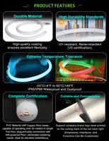 Bande LED néon personnalisée pour piscine, éclairage décoratif extérieur, USB, Epistar RGB, pixels dynamiques, corde flexible, étanche IP68