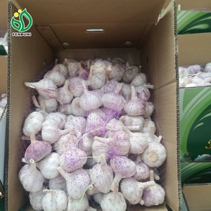 Ajo Blanco Fresco a Granel de Venta Directa de Fábrica China Fenduni, Ajo Seco Picante, Sabor Crudo, el Mejor Suministro de Ajo - Product Image 2