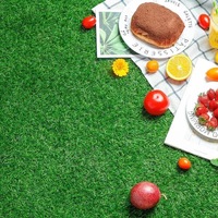 Pelouse artificielle Simulation terrain de football maternelle pelouse tapis Simulation herbe